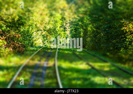 magische Herbst Straßenbahn Waldweg, Tilt-Shift bewirkt Foto Stockfoto