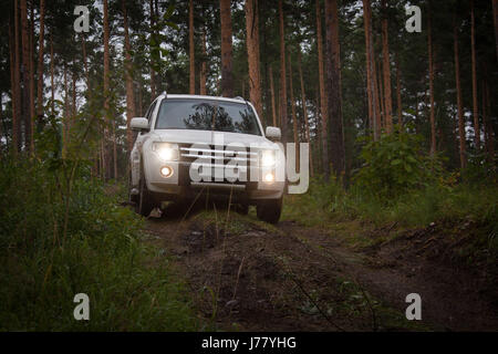 Offroad Fahrzeug im Wald Stockfoto