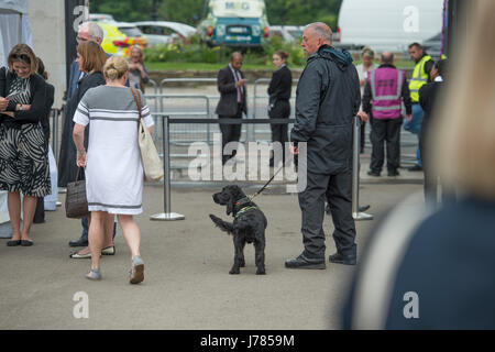 Das Royal Hospital Chelsea, London, UK. 23. Mai 2017. Wachmann mit Spürhund an der Pforte, die 2017 RHS Chelsea Flower Show Stockfoto