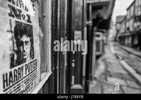 Harry Potter melden Sie in einem Schaufenster in einem Geschäft auf The Shambles (aka Dragon Alley) in York Stockfoto