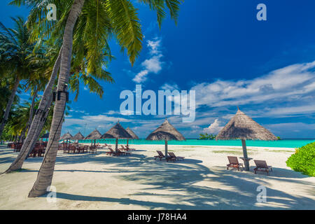 Liegestühle unter Umrellas und Palmen Bäume an einem tropischen Strand, Malediven Stockfoto