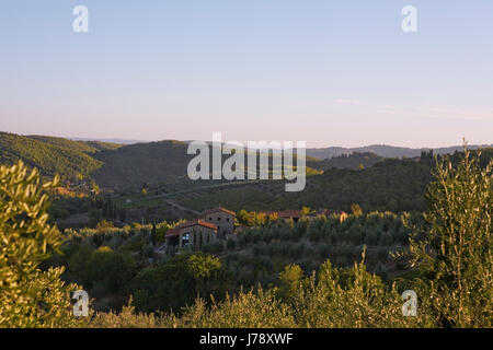 Blick nach Süden vom Radda in Chianti am Abend Stockfoto