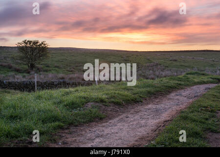 Curbar Edge Peak District bei Sonnenaufgang Stockfoto