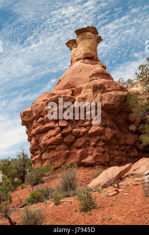 Turm, Sand Canyon Trail, Felsenschluchten der alten National Monument nordwestlich von Cortez, Colorado. Stockfoto