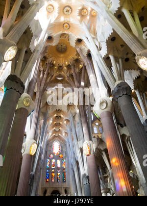 Dekorative gewölbte Decke in Gaudis Sagrada Familia Basilika in Barcelona Spanien. Stockfoto