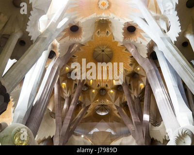 Dekorative gewölbte Decke in Gaudis Sagrada Familia Basilika in Barcelona Spanien. Stockfoto