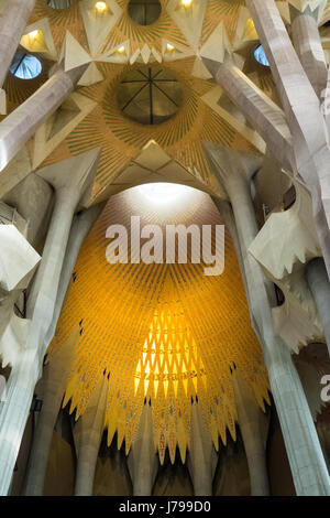Dekorative gewölbte Decke in Gaudis Sagrada Familia Basilika in Barcelona Spanien. Stockfoto