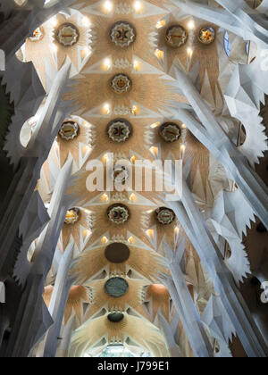 Dekorative gewölbte Decke in Gaudis Sagrada Familia Basilika in Barcelona Spanien. Stockfoto