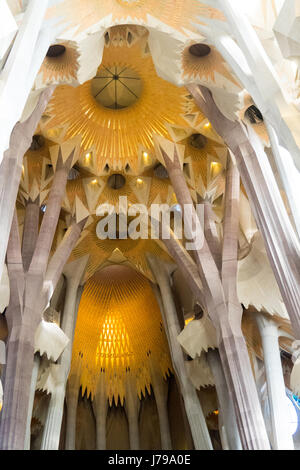 Dekorative gewölbte Decke in Gaudis Sagrada Familia Basilika in Barcelona Spanien. Stockfoto