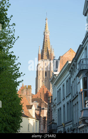 Sint-Salvator-Kathedrale am sonnigen Tag in Brügge, Belgien. Stockfoto