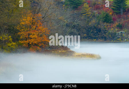Nebel schwebt über Little Delaware River von New York in den Catskill Mountains im Herbst. USA Stockfoto