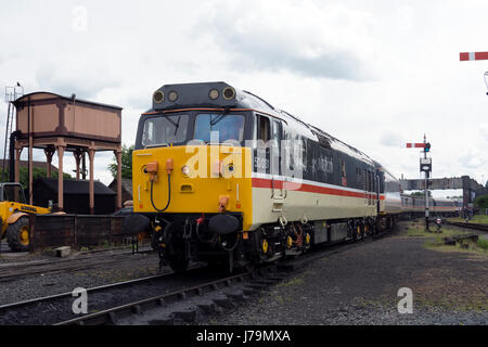 Baureihe 50 Diesel Lokomotive Nr. 50031 Hood "ziehen einen Zug an der Severn Valley Railway, Kidderminster, Großbritannien Stockfoto