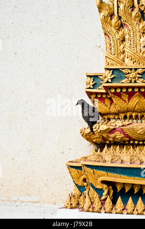 eine Krähe auf den Tempel, Wat Thai Stockfoto