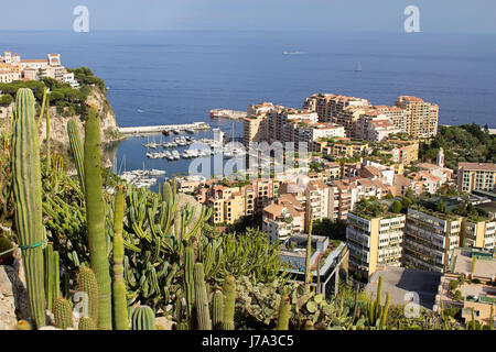 Exotischer Garten von Monaco, Jardins Exotique de Monaco: Sammlung von Sukkulenten und tropischen Pflanzen an der Spitze der Felsen von Monaco City, Sonnenschein Stockfoto