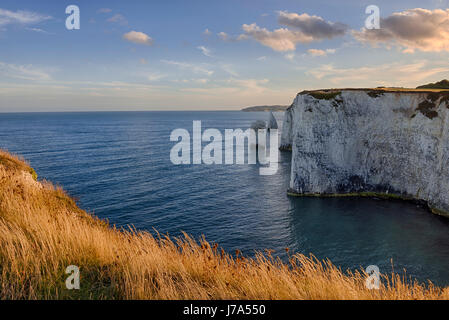 Old Harry Rocks, Kreidefelsen und Meer-Stacks. UNESCO-Weltkulturerbe. Old Harry Rocks, Studland, Swanage, Isle of Purbeck, Dorset, Jurassic Coast, Stockfoto