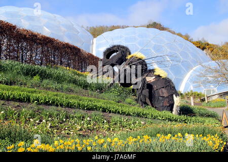 Bodelva, Cornwall, UK - 4. April 2017: Riesen-Biene-Skulptur und Biome auf Eden Projekt Umweltausstellung in Cornwall, England Stockfoto