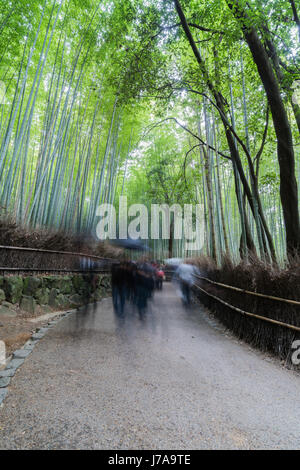 Silhouette von Menschen zu Fuß im Regen und auf einem Pfad, überragt von Bambusstämmen auf beiden Seiten. Stockfoto