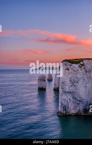 Old Harry Rocks, weissen Klippen und Meer-Stacks, Dämmerung - Sonnenuntergang. UNESCO-Weltkulturerbe. Old Harry Rocks, Studland, Swanage, Isle of Purbeck, Dorset, Stockfoto