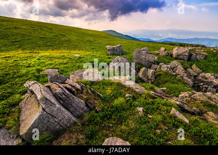 Löwenzahn zwischen den Felsen in Karpaten Alpen. Schweren Wolken am blauen Himmel über die Berggipfel in der Ferne.  Lebendige Sommerlandschaft bei Sonnenuntergang. Stockfoto