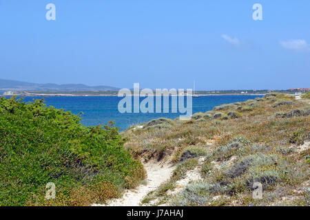 der Strand von Su Pallosu, Bezirk Oristano, Sardinien, Italien Stockfoto