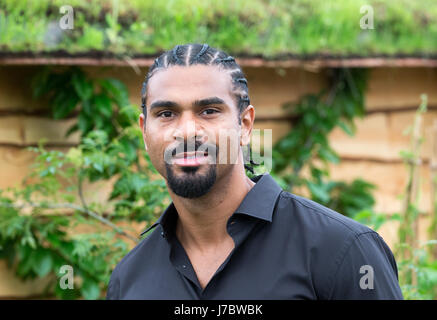 Boxweltmeister David Haye bei der RHS Chelsea Flower Show 2017 Stockfoto