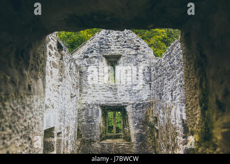 Das Kloster innerhalb der Muckross Abbey. Stockfoto