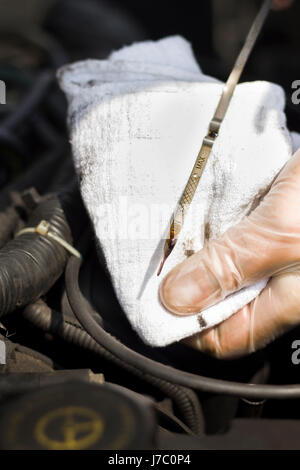 Die Hände des Mannes in Einweg-Handschuhe überprüfen Sie den Ölstand im Motor. Stockfoto