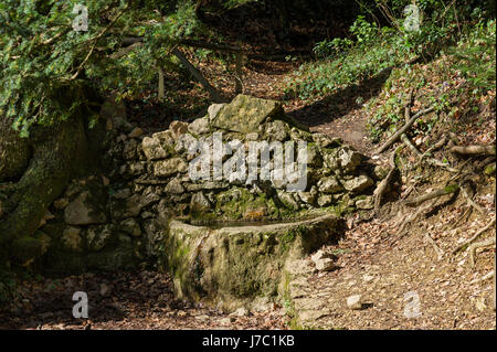 Quelle Saint Zacharie Sainte Baume-Var-Frankreich Stockfoto