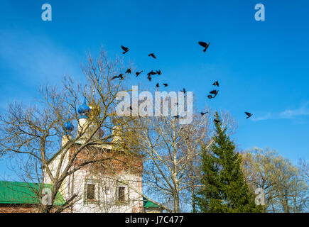 Schwarze Krähen, den Klang von einem weitverzweigten Baum auf einem Hintergrund des blauen Himmels und Kirche Kuppeln, Russland. Stockfoto