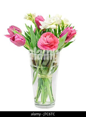 Rote Tulpen, weißen Freesien, Ranunculus Blumen, Blumenstrauß, Blumenarrangement in einer transparenten Vase gefüllt mit Wasser, isoliert, weißen Hintergrund. Stockfoto