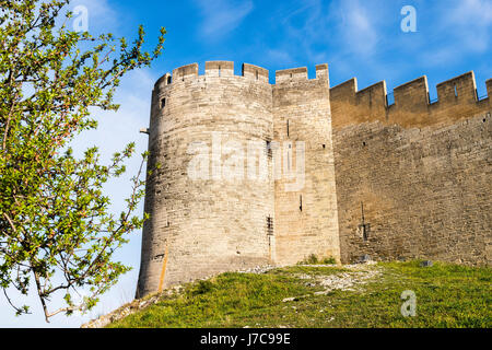 Le Fort Saint-André Sur le Mont Andaon.Villeneuve-Lès-Avignon Gard Paca Frankreich Stockfoto