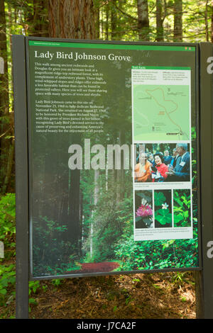 Interpretierende Board bei Lady Bird Johnson Grove, Redwood National Park, Kalifornien Stockfoto