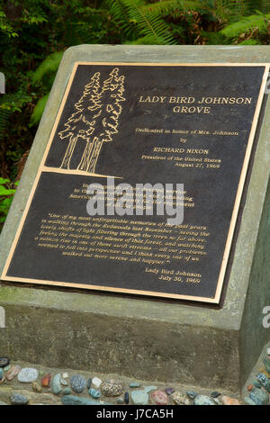 Gedenktafel an Lady Bird Johnson Grove, Redwood National Park, Kalifornien Stockfoto