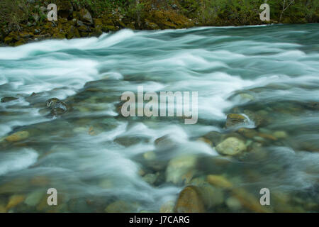 South Fork Smith River im Sand Camp, Smith River National Recreation Area, Smith Wild and Scenic River, sechs Flüssen National Forest, Kalifornien Stockfoto