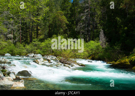 Middle Fork Smith River, Smith River National Recreation Area, Smith Wild and Scenic River, sechs Flüssen National Forest, Kalifornien Stockfoto