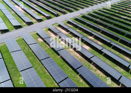 Photovoltaik-Anlage auf dem Gebiet von Drohne. Luftaufnahme der Solarzelle Farm. Solarpark, Solarzellen aus der Luft Stockfoto