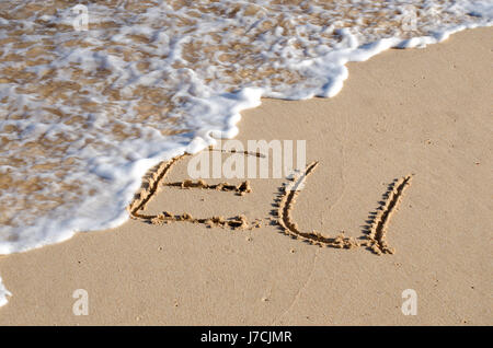 Das Wort EU geschrieben im Sand und am Meer weggespült wird. Konzept für das Scheitern der Europäischen Union. Stockfoto