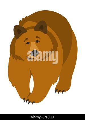 Süß lächelnd grizzly Bär Vektor-Cartoon Illustration. Wilden Zoo Tier Symbol. Große braune pelzigen Erwachsenen Räuber zu Fuß. Isoliert auf weiss. Wald-Fauna-c Stock Vektor