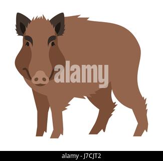 Cute lächelnde Wildschwein-Vektor-Cartoon-Illustration. Wildschwein Zoo Tier Symbol. Große braune Erwachsenen Schwein stehen. Isoliert auf weiss. Wald Fauna kindisch Merk Stock Vektor