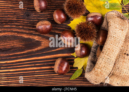 Kastanien in Jute-Tasche von oben auf hölzernen Hintergrund. Saisonale Herbst Hintergrund mit Exemplar. Stockfoto