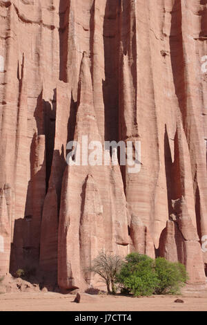 Catedral, Felswand in Talampaya Nationalpark, Argentinien Stockfoto