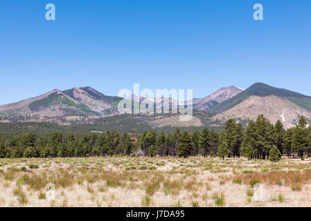 Panorama von der San Francisco Peaks in der Nähe von Flagstaff in Arizona. Gesehen von Sunset Crater Volcano National Monument. Stockfoto