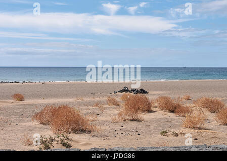 Lanzarote, Playa de Matagorda Stockfoto