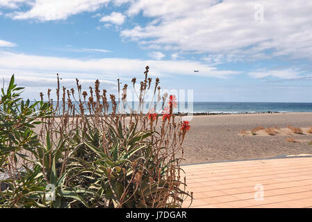 Lanzarote, Playa de Matagorda Stockfoto