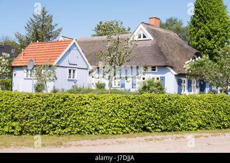 Typische Reetdachhaus in Born Auf Dem Darß, Mecklenburg-Vorpommern, Deutschland Stockfoto