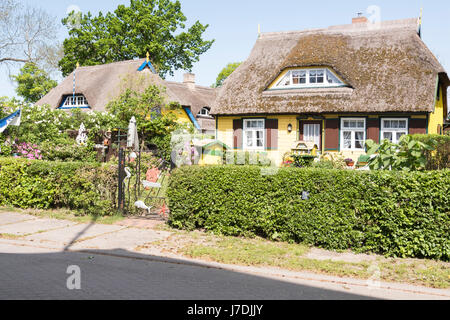 Typische Reetdachhaus in Born Auf Dem Darß, Mecklenburg-Vorpommern, Deutschland Stockfoto