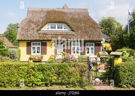 Typische Reetdachhaus und Garten in Born Auf Dem Darß, Mecklenburg-Vorpommern, Deutschland Stockfoto