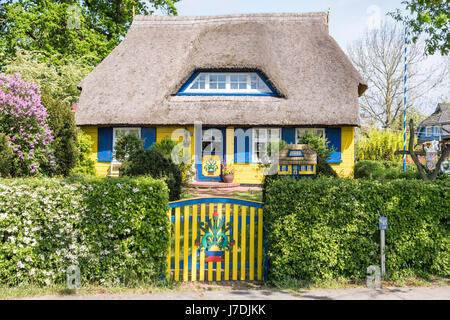 Typische Reetdachhaus und Garten in Born Auf Dem Darß, Mecklenburg-Vorpommern, Deutschland Stockfoto