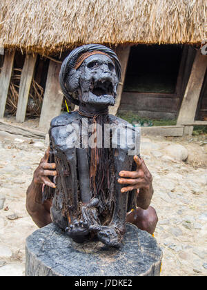 Wamena, Indonesien - Januar 23, 2015: Mama von einem Mitglied des DALI-Stamm präsentiert, in der Nähe von wamena Stadt im Herzen des Baliem Valley Stockfoto