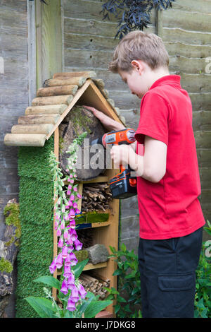 elfjähriger Junge ein Bug-Hotel im Garten mit einem Akku-Bohrer zu errichten. Sussex, UK. Mai. Stockfoto